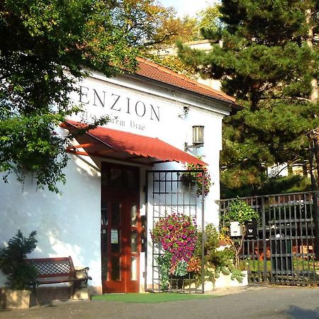 Penzion Na Starem Brne 브르노 외부 사진